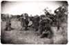 capturedgermansoldiers_small.jpg