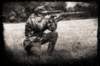 germansniperaiming_small.jpg