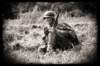 germansoldier2_small.jpg