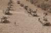 viewfromabove4_small.jpg