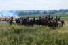 frenchcavalry2_small.jpg