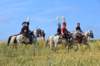frenchcavalry_small.jpg