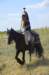 frenchcuirassier_small.jpg