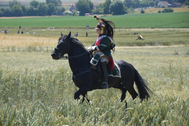 frenchdragon.jpg