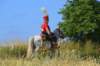 frenchhorseman_small.jpg