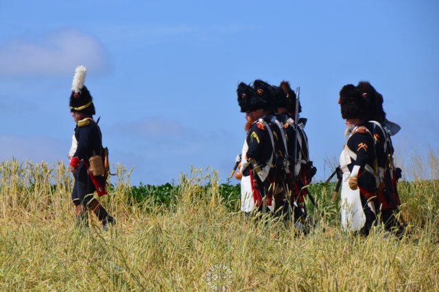 frenchimperialguards.jpg