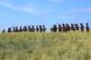 frenchimperialguards2_small.jpg