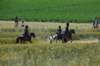 napoleonleavingthebattlefield_small.jpg