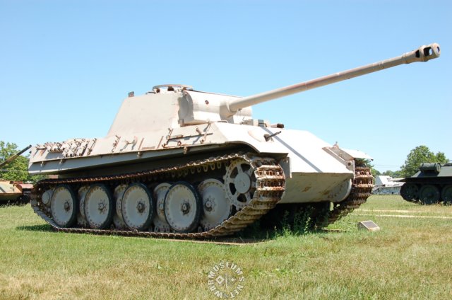 panther7.jpg