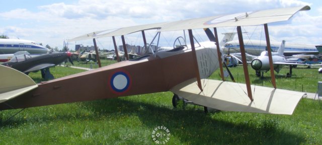 anatraanasal2.jpg