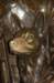 mascot_small.jpg