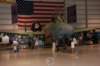 a10warthog_small.jpg