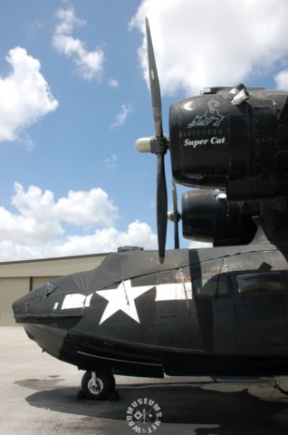 catalina2.jpg