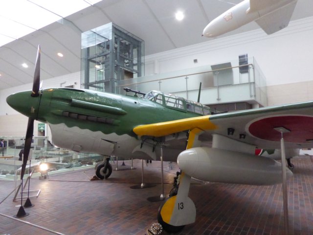 judyleftfrontview.jpg